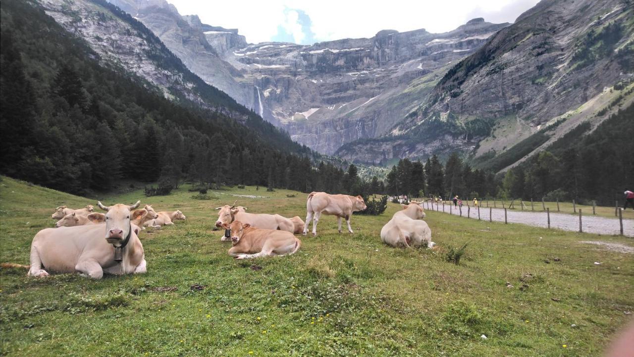 Studio En Pleine Montagne Avec Vue Sur Marmottes La Mongie Luaran gambar